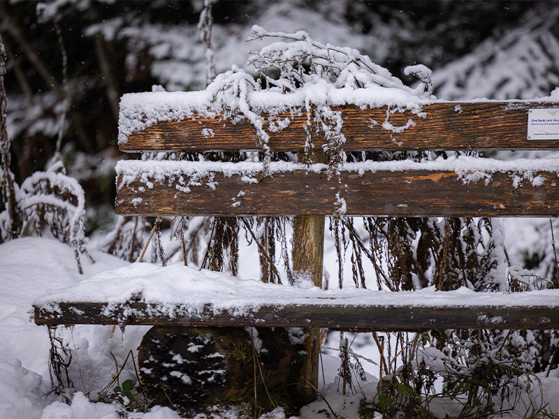 Eine Sitzbank bedeckt von Schnee
