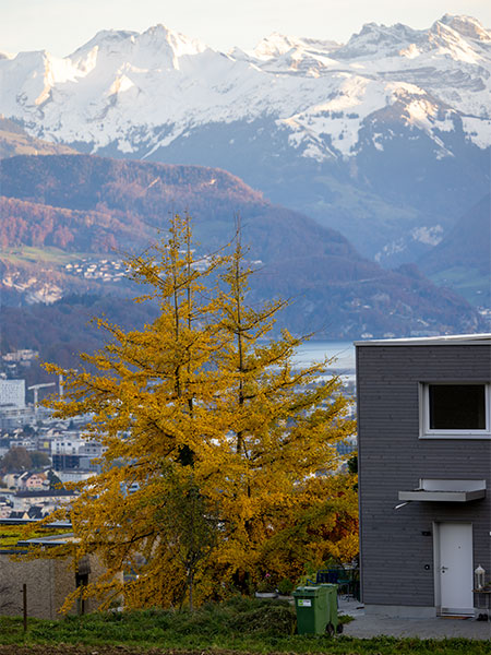 Schönes Bergpanorama
